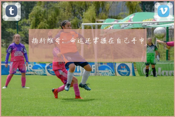 扬科维奇：命运还掌握在自己手中
