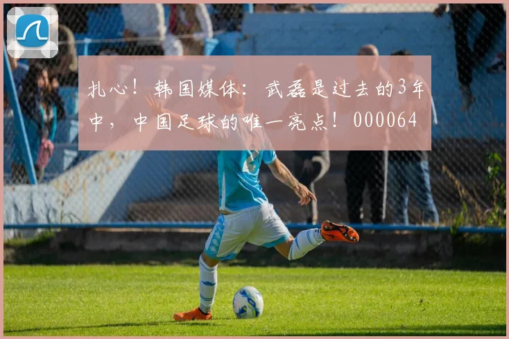 扎心！韩国媒体：武磊是过去的3年中，中国足球的唯一亮点！0000644