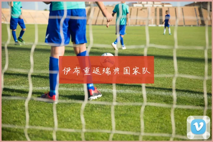伊布重返瑞典国家队